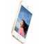 Apple iPhone SE 32Gb технические характеристики. Купить Apple iPhone SE 32Gb в интернет магазинах Украины – МетаМаркет