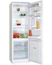 Холодильники Атлант ХМ 6026-000 фото