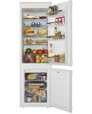 Холодильники Amica BK316.3FA фото