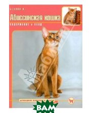 Аквариум-Принт Абиссинская кошка. Содержание и уход