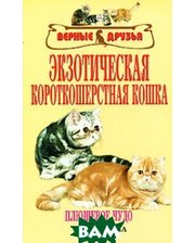 Аквариум-Принт Экзотическая короткошерстная кошка