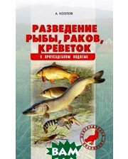 Аквариум-Принт Разведение рыбы, раков, креветок в приусадебном водоеме