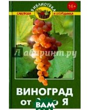 ФЕНИКС Виноград от А до Я