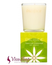 Pacifica Tahitian Gardenia Soy Candle
