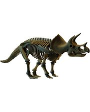 Dino Скелет динозавра - Трицератопс (D502)