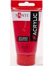 Santi Studio (350994)