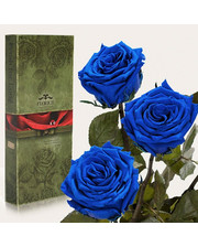  Три долгосвежих розы Cиний Сапфир 7 карат (короткий стебель)