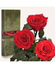  Три долгосвежих розы Красный Рубин 5 карат (короткий стебель)