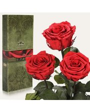  Три долгосвежих розы Алый Рубин 7 карат (средний стебель)