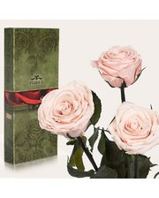  Три долгосвежих розы Розовый Жемчуг 7 карат (короткий стебель)