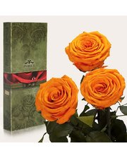  Три долгосвежих розы Оранжевый Цитрин 7 карат (короткий стебель)