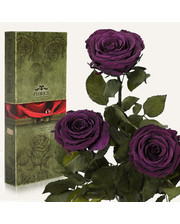  Три долгосвежих розы Фиолетовый Аметист 7 карат (короткий стебель)