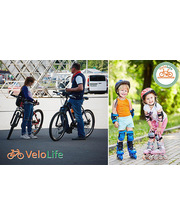  Прокат велосипедов или роликов на ВДНХ со скидкой до 62% от компании "Velolife"