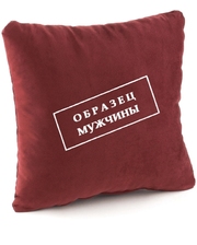 KotiCo Подарочная подушка "Образец мужчины" 33x33 см (UAMAG-19304)