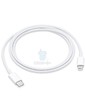 Apple USB-C to Lightning Cable 1 m (MQGJ2)