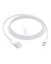 Аксессуары для планшетов Apple Lightning to USB Cable 1m (MXLY2) фото