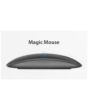 Мыши и трекболы Apple Magic Mouse 2 Space Gray (MRME2) фото