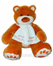 Тигрес Мягкая игрушка медведь Мемедик (бурый) 50 см, Спасибо что ты есть (ВЕ-0067-6)