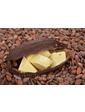 BASF Масло какао нерафинированное