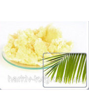 Парфюмированное мыло Генезис Масло пальмы, нерафинированное (белое) фото