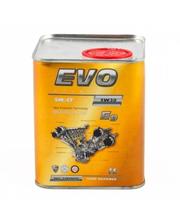 Моторные масла EVO E9 5W-30 SN/CF 1л фото