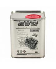 Моторные масла EVO E5 10W-40 SM/CF 1л фото
