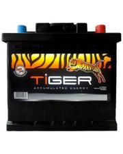 Акумуляторні батареї TIGER Автомобильный аккумулятор 60 Ah/12V Euro фото