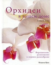 Кладезь-Букс Орхидеи в вашем доме.