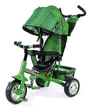 baby tilly Blue Zoo-Trike BT-CT-0005 Green