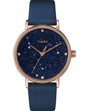 Часы наручные, карманные Timex Tx2t87800 фото