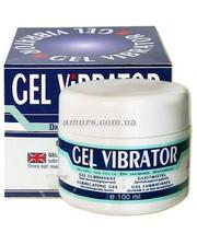 Лубриканты  Гель - смазка «Gel Vibrator» 100мл фото