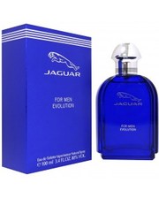 Мужская парфюмерия Jaguar Evolution for Men 100мл. мужские фото