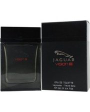 Мужская парфюмерия Jaguar Vision III 100мл. мужские фото