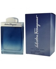 Мужская парфюмерия Salvatore Ferragamo Subtil Pour Homme 100мл. мужские фото