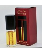 Женская парфюмерия Torrente Eau de 90мл. женские фото