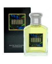 Мужская парфюмерия Aramis Havana 100мл. мужские фото