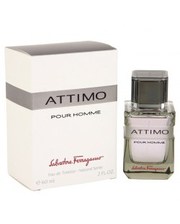 Мужская парфюмерия Salvatore Ferragamo Attimo Pour Homme фото