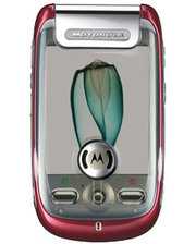 Мобильные телефоны Motorola MOTOMING A1200E фото