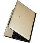 Asus Eee PC S101H champagne