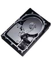 Жесткие диски (HDD) Maxtor 8C073J0 фото