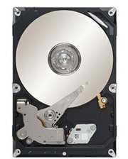 Жесткие диски (HDD) Seagate ST3500312CS фото