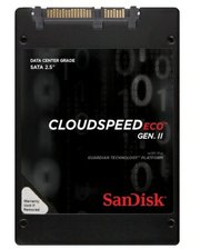Жесткие диски (HDD) SanDisk SDLF1DAR-960G-1JA2 фото
