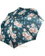 Зонты HAPPY RAIN U73955-pion фото