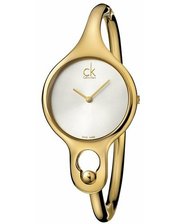 Часы наручные, карманные Calvin Klein K1N225.26 фото