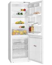Холодильники Атлант ХМ 6021-031 фото