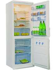 Холодильники Candy CC 330 фото