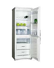 Холодильники Snaige RF310-1T03A фото