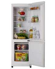 Холодильники Shivaki SHRF-152DW фото