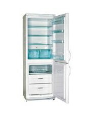 Холодильники Polar RF 310 фото