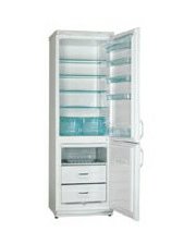 Холодильники Polar RF 360 фото